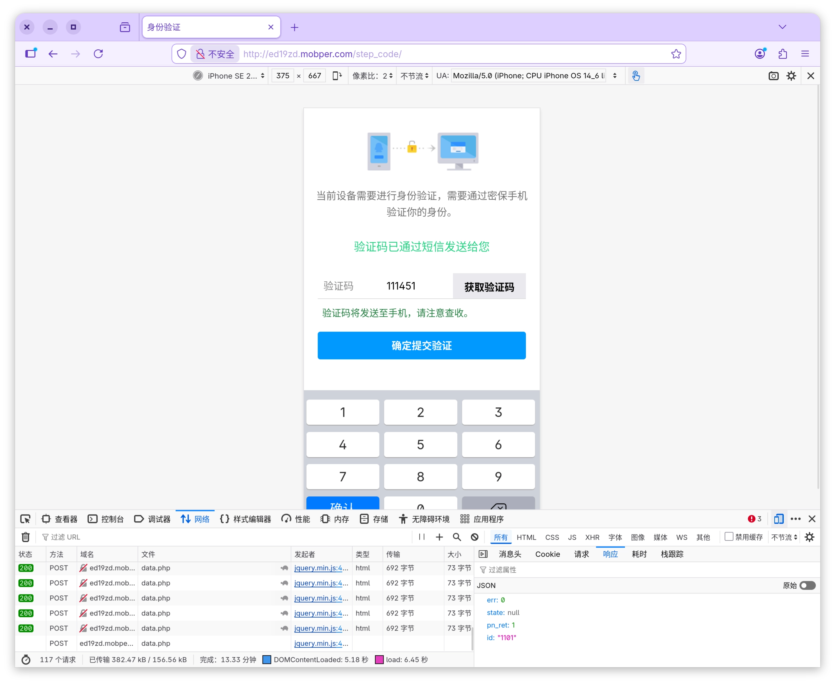 诈骗网站验证码输入页截图